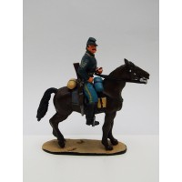 Reiter Sergeant Amerikanischer Kavallerie Vereinigte Staaten 1872
